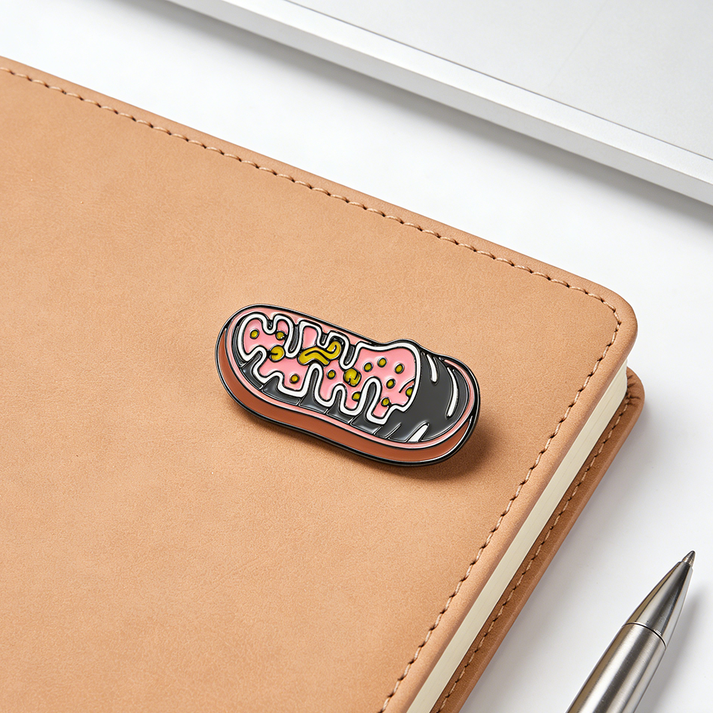 Hanreshe Biology Bacteria Enam - Medical Lab Gifts บทวิจารณ์และราคา