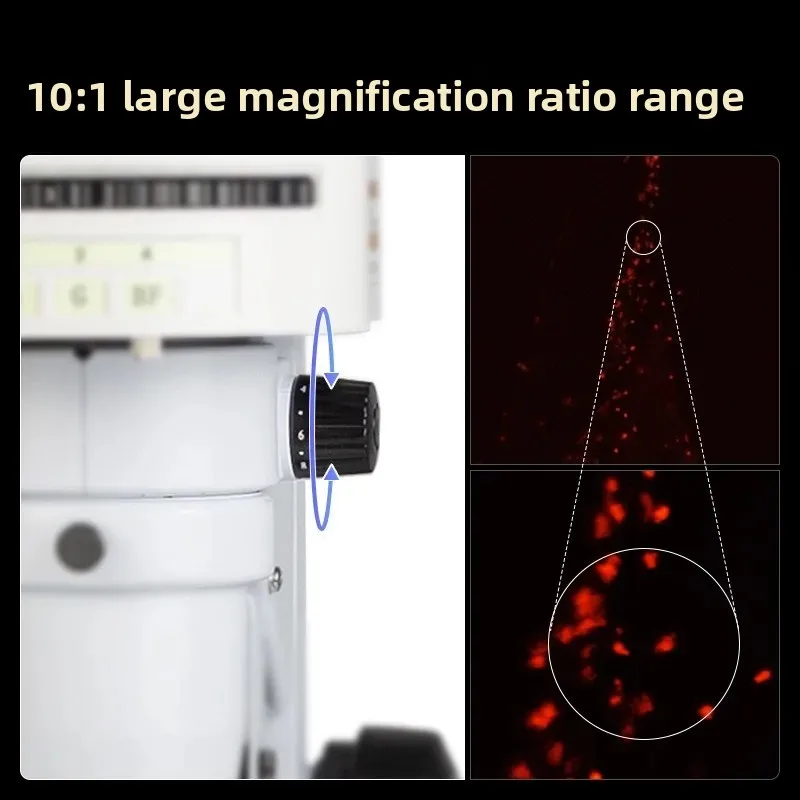 Fluorescence microscope zebraf - Medical Lab Observer บทวิจารณ์และราคา